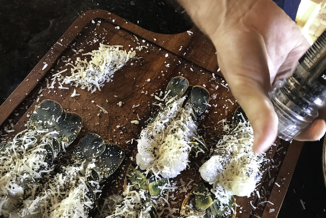 2023 04 04 werkgeluk 04