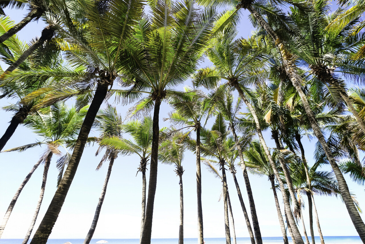 2023 04 04 werkgeluk 08