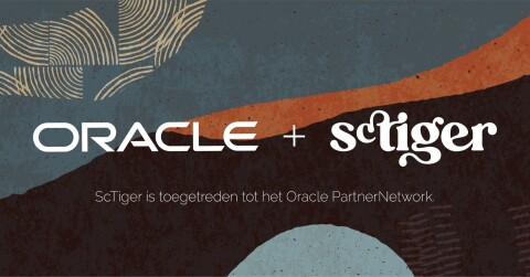 Oracle partner