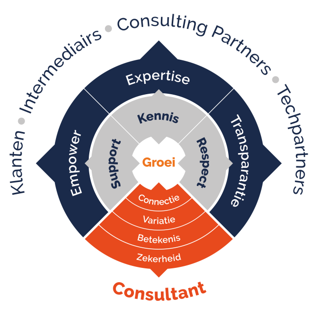 ScTiger model 2 website